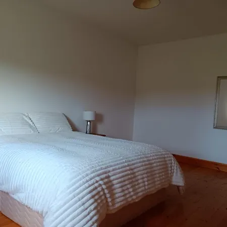 Global Guest Ireland Проживание в семье Williamstown