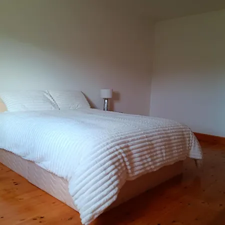 Global Guest Ireland Williamstown