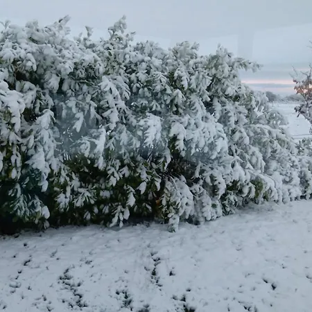 Global Guest Ireland Alloggio in famiglia Williamstown