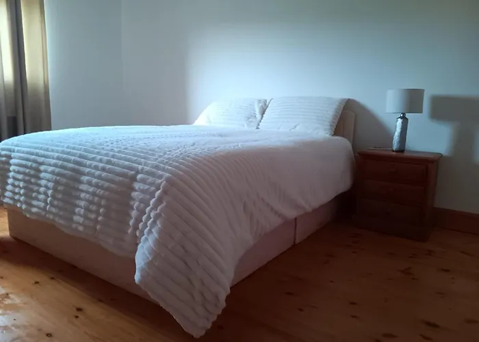 Global Guest Ireland Проживание в семье *