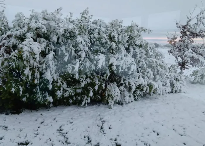 Global Guest Ireland Проживание в семье Williamstown