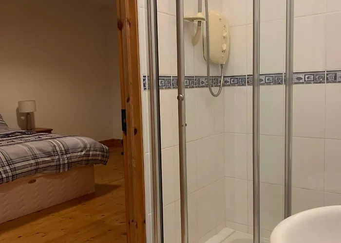 Проживание в семье Global Guest Ireland